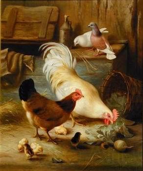 unknow artist Cocks 105 Germany oil painting art